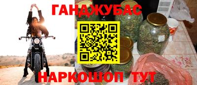 крисы Краснознаменск