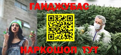 крисы Краснознаменск