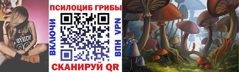 Галлюциногенные грибы Psilocybe  магазин продажи наркотиков  Усть-Илимск 